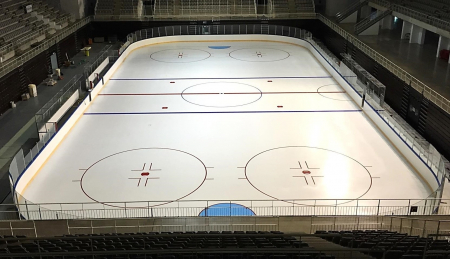 Тренировочный хоккейный борт ударопоглощающий, модель ENGO FlexBoard Classic